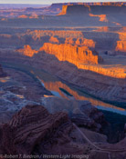 Canyonlands Overlook, Dead Horse Point, Utah (4x5)