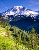 Mt. Rainier, Washington (4x5)