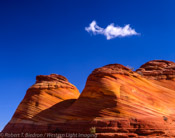 Petrified Sand Dunes, North Coyote Buttes, Arizona (4x5)