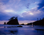 Second Beach, Olympic National Park,  Washington (4x5)