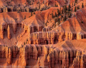 Hoodoos, Cedar Breaks National Monument, Utah (4x5)