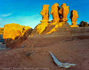 Devil's Garden, Grand Staircase - Escalante National Monument, Utah (4x5)