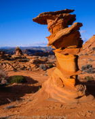 Salvador Dali Tower, South Coyote Buttes, Arizona (4x5)