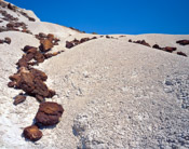 Bentonite Hills, Big Bend National Park, Texas (4x5)