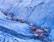 Log Jam, Petrified Forrest National Park, Arizona (8x10)