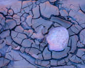 Dried Mud, Paria Canyon, Utah(4x5)