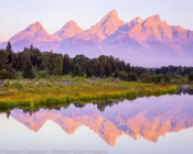 Schwabacher Landing, Grand Teton National Park (4x5)