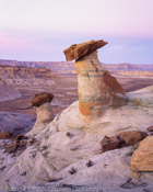 Dawn, Stud Horse Point Arizona (8x10)